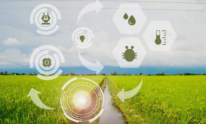 De sustentabilidade a IA o que sera tendencia no agronegocio em 2024