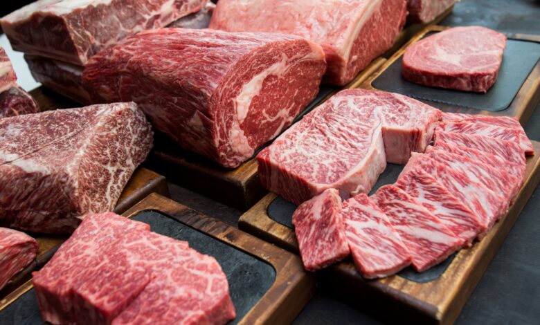 Wagyu carne mais cara do mundo custa mais de R300kg descubra por que