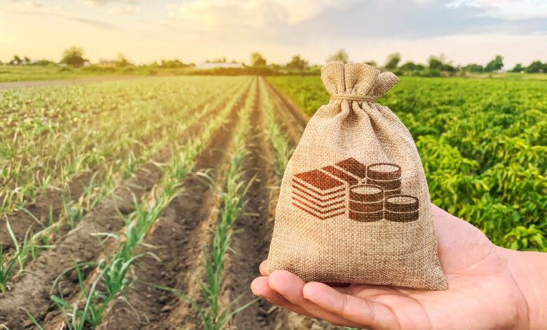 Entenda a diferenca entre producao e produtividade agricola 3 dicas importantes