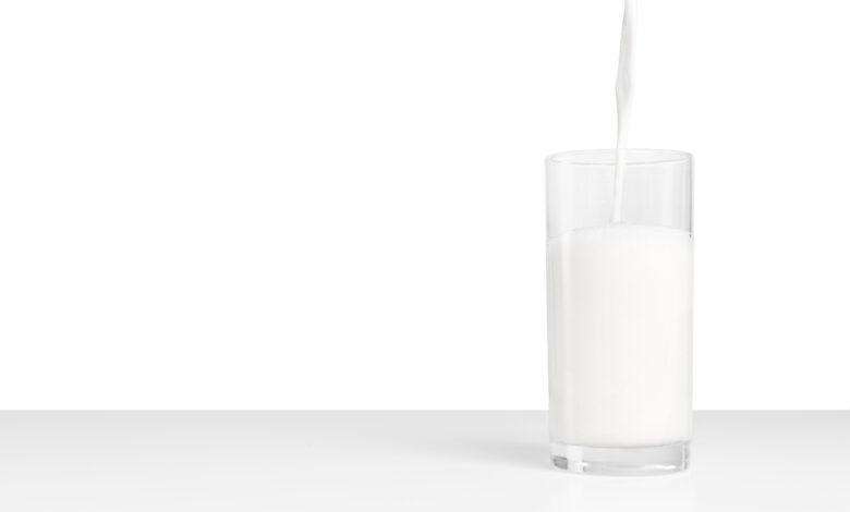 Os 5 segredos por traz da producao de leite bovino como aumentar 2