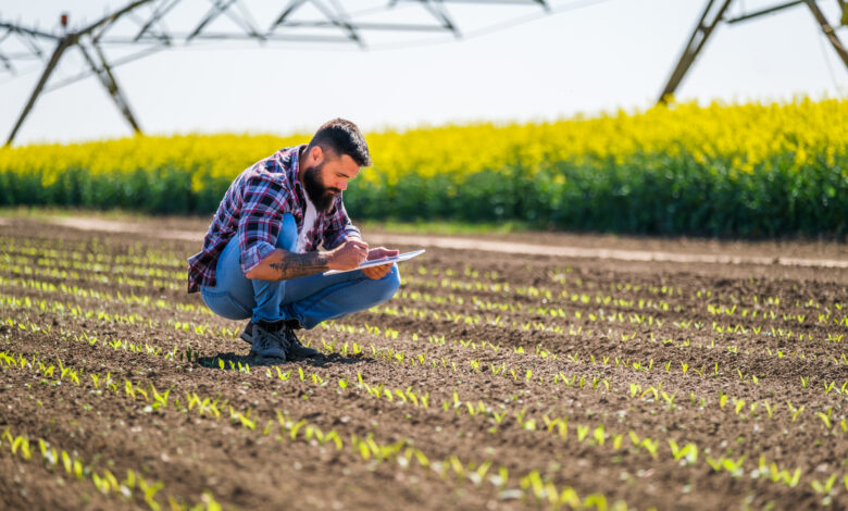 Produtividade agricola 5 fatores que ajudam a aumentar esse indicador