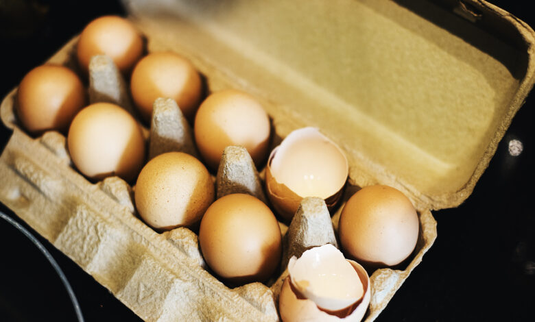Aumento da receita com exportacao de ovos chega a 180 em 2023 confira