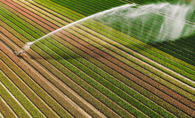 Empresa de irrigacao sustentavel acumula dividas de R600 milhoes e pede recuperacao