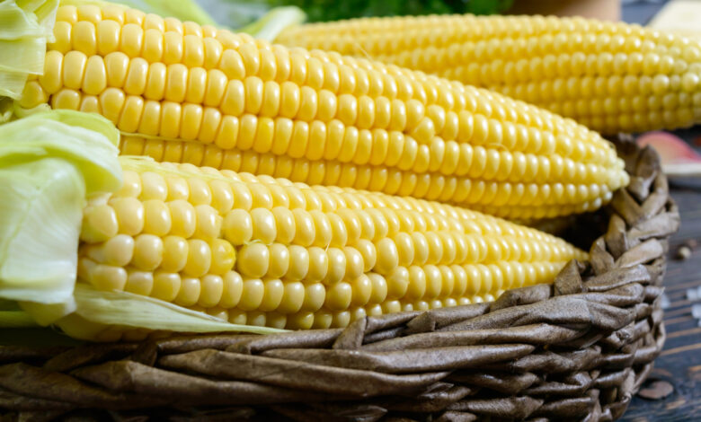 Qual e o acucar do milho Entenda o que e e para que serve a glucose de milho