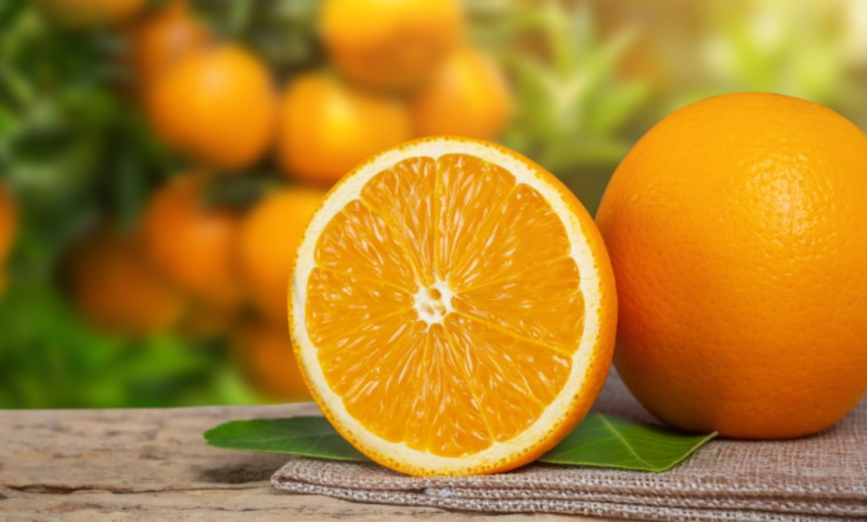 maior produtor de laranja do mundo